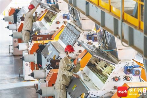 奋进新征程 逐梦自贸港 厅局篇 海南 加快构建现代化粮食安全保障体系 推进产业持续优化升级